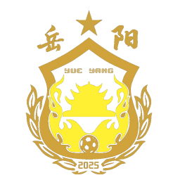 怀化队